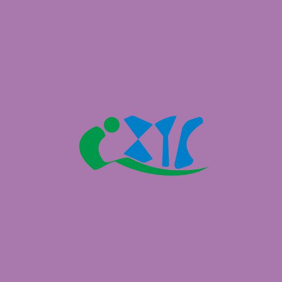 上海國際智慧公交技術裝備展覽會介紹